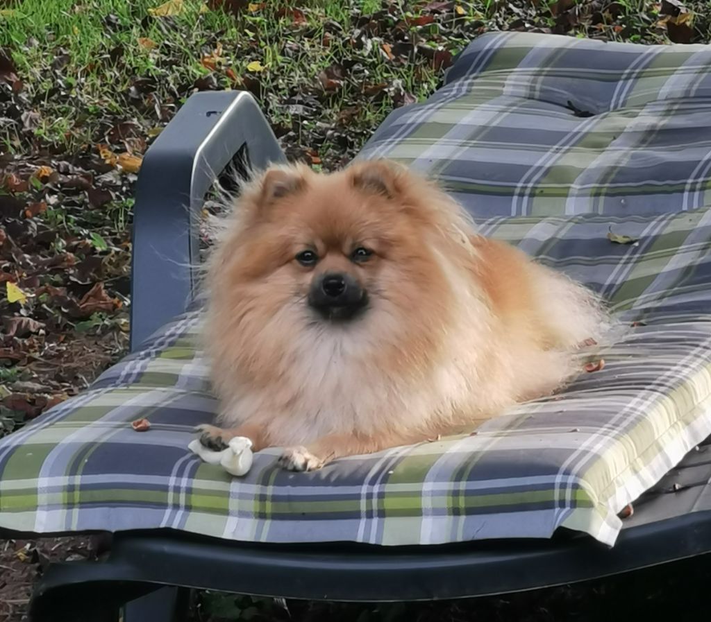 Tess De L'Eden De Bragi